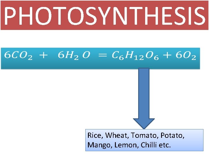 PHOTOSYNTHESIS • Rice, Wheat, Tomato, Potato, Mango, Lemon, Chilli etc. PHOTOSYNTHESIS • Rice, Wheat, Tomato, Potato, Mango, Lemon, Chilli etc.
