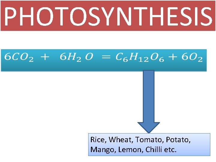 PHOTOSYNTHESIS • Rice, Wheat, Tomato, Potato, Mango, Lemon, Chilli etc. 