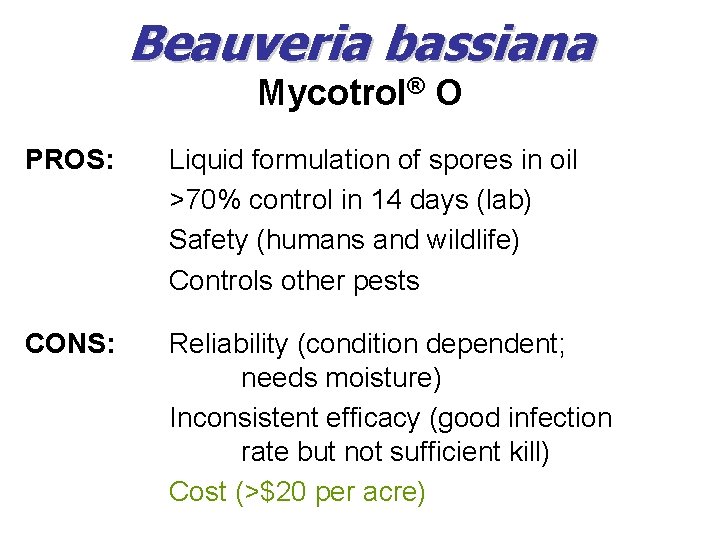 Beauveria bassiana Mycotrol® O PROS: Liquid formulation of spores in oil >70% control in Beauveria bassiana Mycotrol® O PROS: Liquid formulation of spores in oil >70% control in