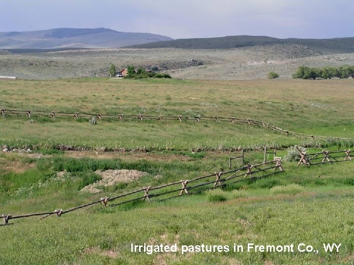 Irrigated pastures in Fremont Co. , WY 