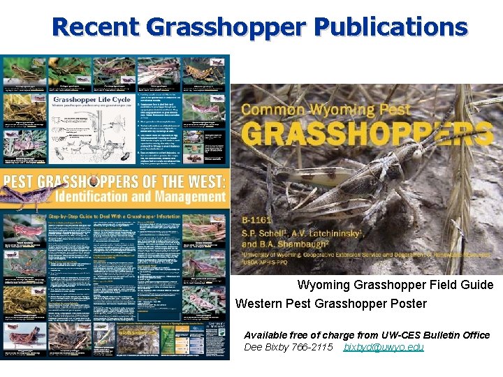 Recent Grasshopper Publications Wyoming Grasshopper Field Guide Western Pest Grasshopper Poster Available free of