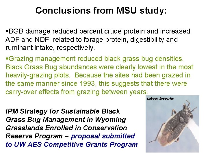 Conclusions from MSU study: §BGB damage reduced percent crude protein and increased ADF and