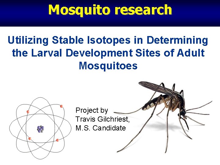 Mosquito research Utilizing Stable Isotopes in Determining the Larval Development Sites of Adult Mosquitoes Mosquito research Utilizing Stable Isotopes in Determining the Larval Development Sites of Adult Mosquitoes