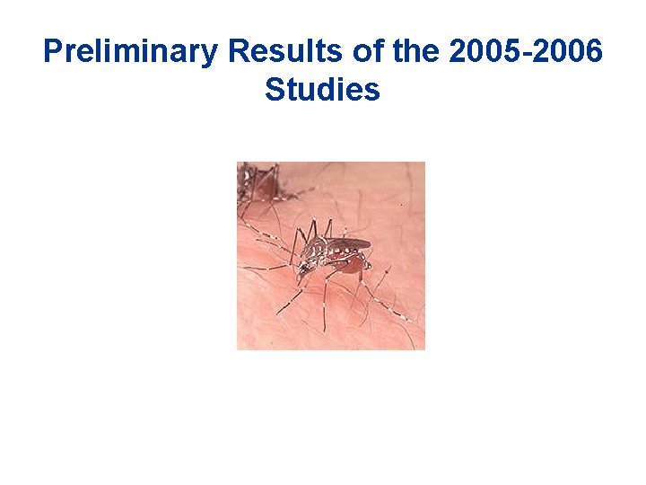 Preliminary Results of the 2005 -2006 Studies Preliminary Results of the 2005 -2006 Studies