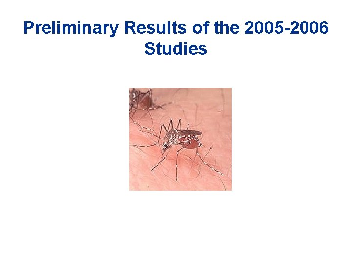 Preliminary Results of the 2005 -2006 Studies 