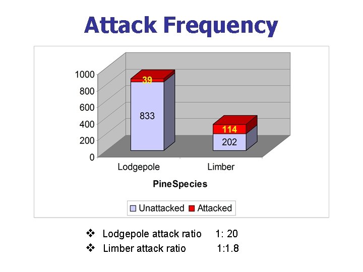 Attack Frequency v Lodgepole attack ratio v Limber attack ratio 1: 20 1: 1.