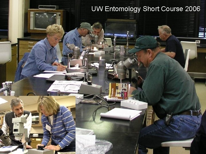 UW Entomology Short Course 2006 UW Entomology Short Course 2006