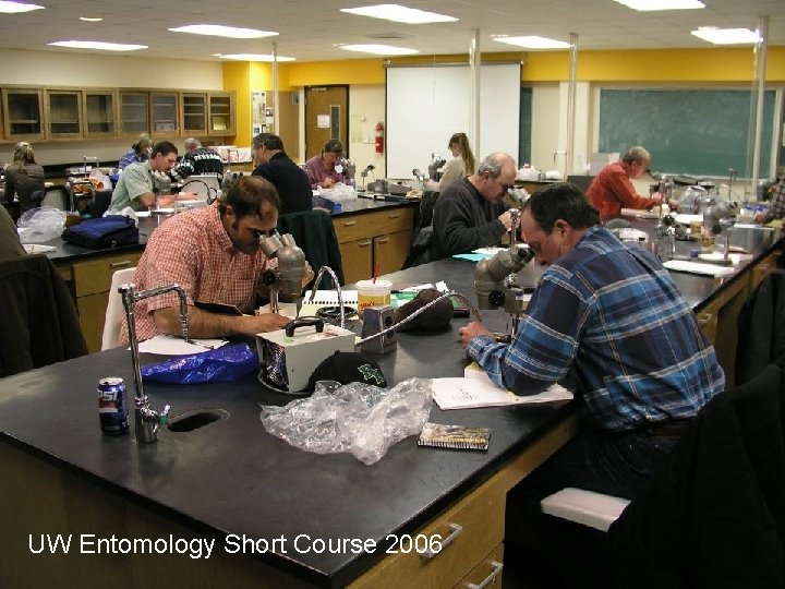 UW Entomology Short Course 2006 UW Entomology Short Course 2006