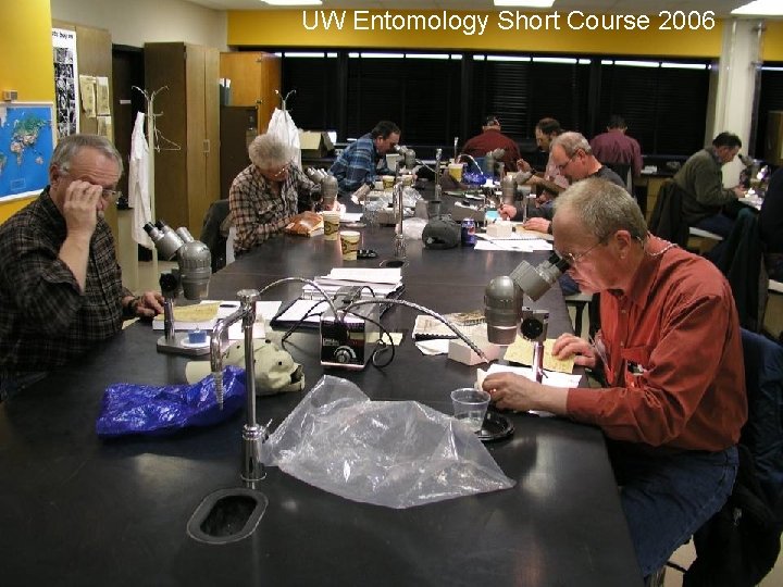 UW Entomology Short Course 2006 UW Entomology Short Course 2006