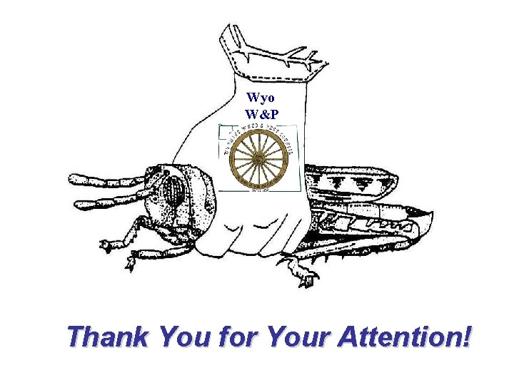 Wyo W&P Thank You for Your Attention! 