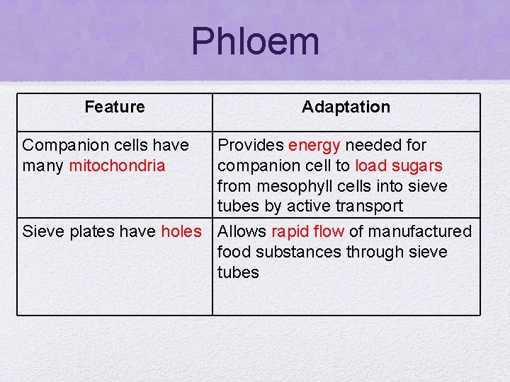 Phloem Feature Companion cells have many mitochondria Adaptation Provides energy needed for companion cell