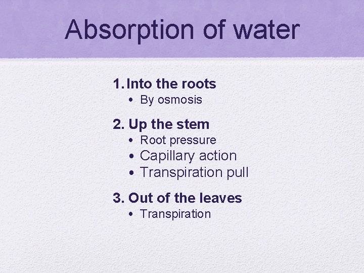 Absorption of water 1. Into the roots • By osmosis 2. Up the stem