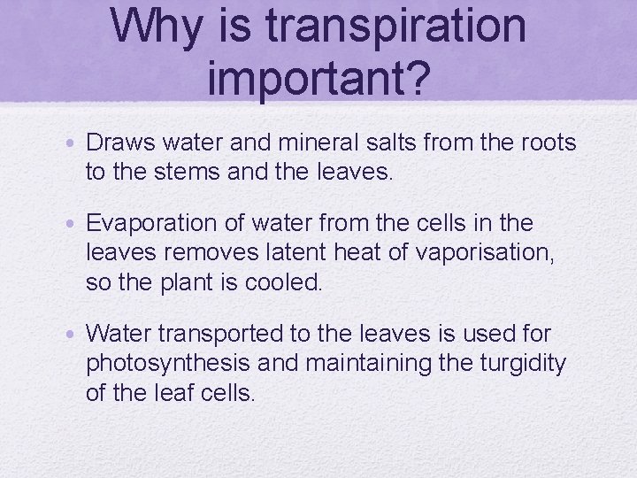 Why is transpiration important? • Draws water and mineral salts from the roots to