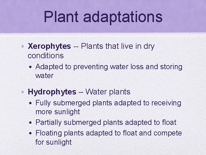Plant adaptations • Xerophytes -- Plants that live in dry conditions • Adapted to