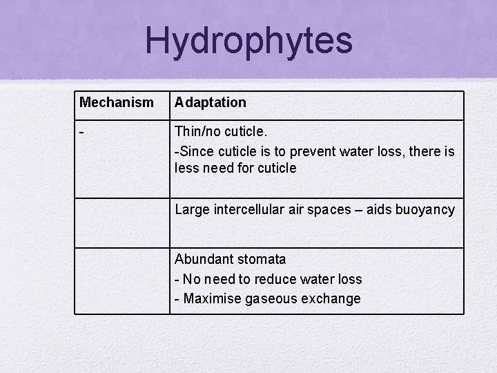 Hydrophytes Mechanism Adaptation - Thin/no cuticle. -Since cuticle is to prevent water loss, there