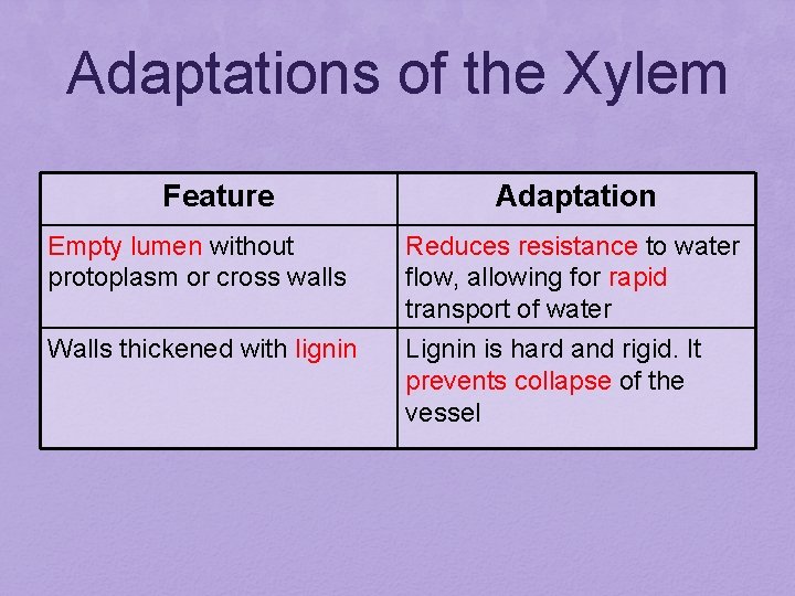 Adaptations of the Xylem Feature Adaptation Empty lumen without protoplasm or cross walls Reduces