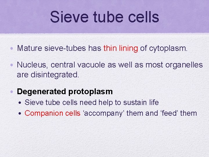 Sieve tube cells • Mature sieve-tubes has thin lining of cytoplasm. • Nucleus, central