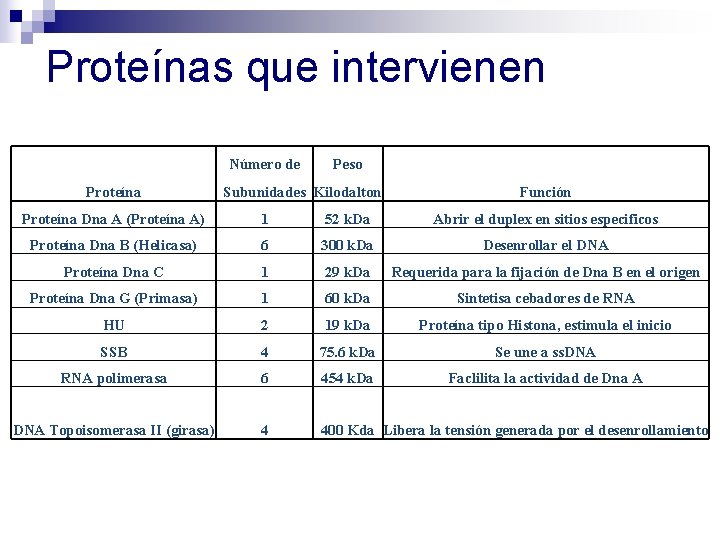 Proteínas que intervienen Número de Proteína Peso Subunidades Kilodalton Función Proteína Dna A (Proteína Proteínas que intervienen Número de Proteína Peso Subunidades Kilodalton Función Proteína Dna A (Proteína