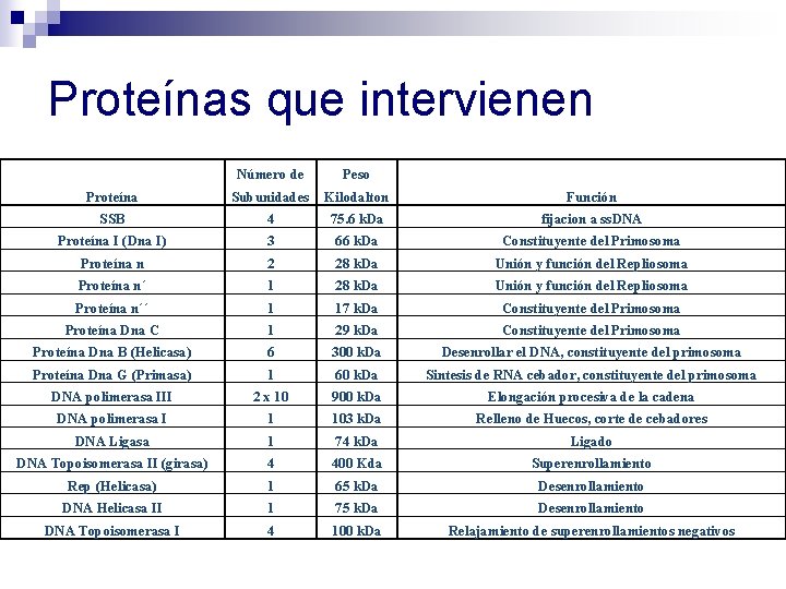 Proteínas que intervienen Número de Peso Proteína Subunidades Kilodalton Función SSB 4 75. 6 Proteínas que intervienen Número de Peso Proteína Subunidades Kilodalton Función SSB 4 75. 6