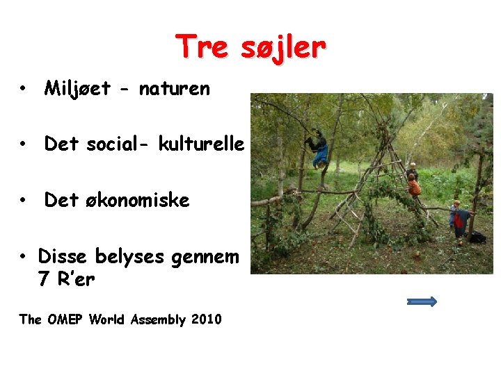 Tre søjler • Miljøet - naturen • Det social- kulturelle • Det økonomiske •