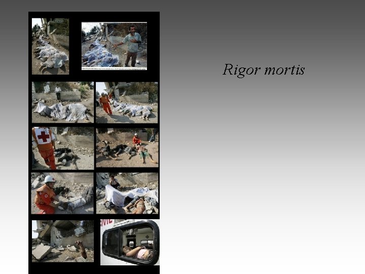 Rigor mortis 