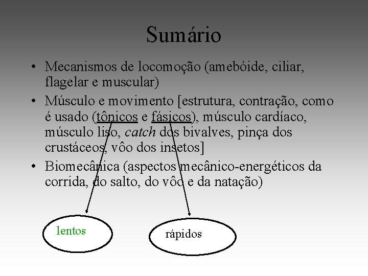 Sumário • Mecanismos de locomoção (amebóide, ciliar, flagelar e muscular) • Músculo e movimento