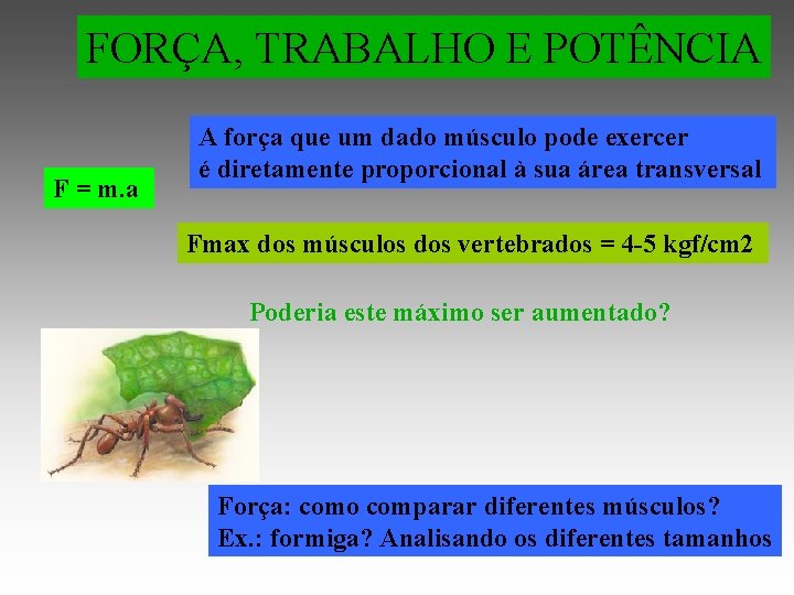 FORÇA, TRABALHO E POTÊNCIA F = m. a A força que um dado músculo