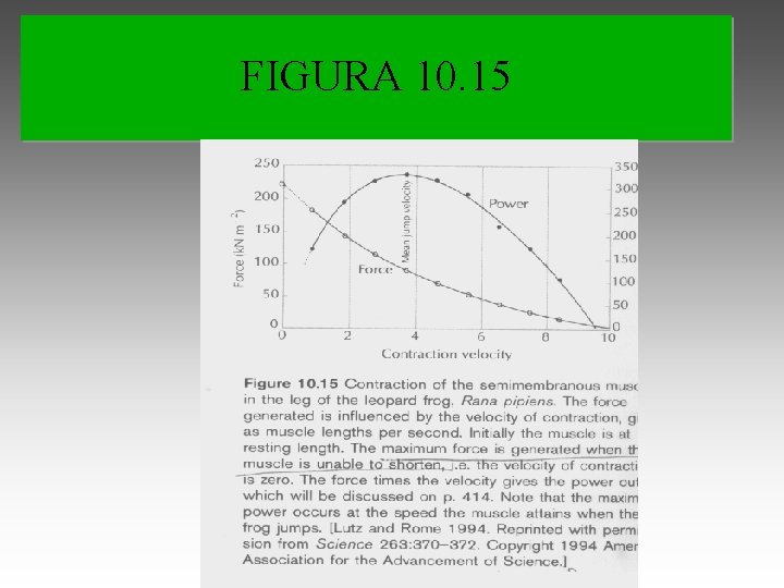 FIGURA 10. 15 