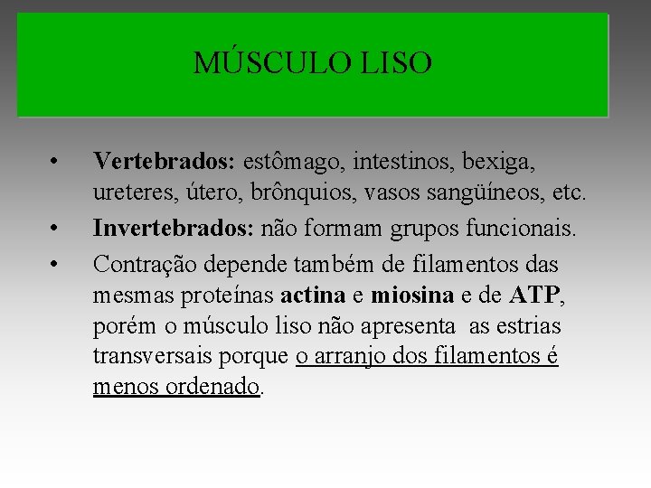 MÚSCULO LISO • • • Vertebrados: estômago, intestinos, bexiga, ureteres, útero, brônquios, vasos sangüíneos,