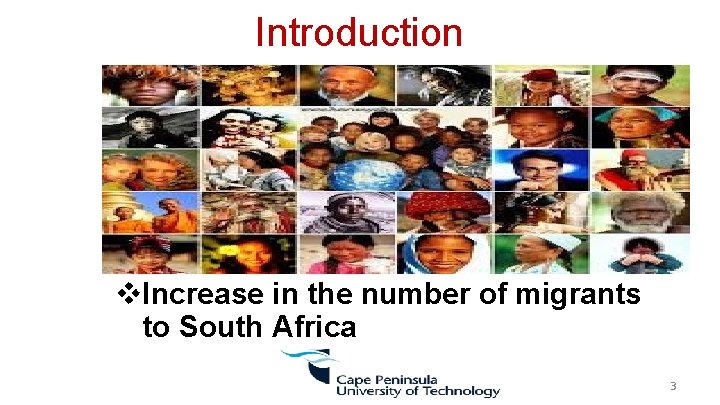 Introduction v. Increase in the number of migrants to South Africa 3 