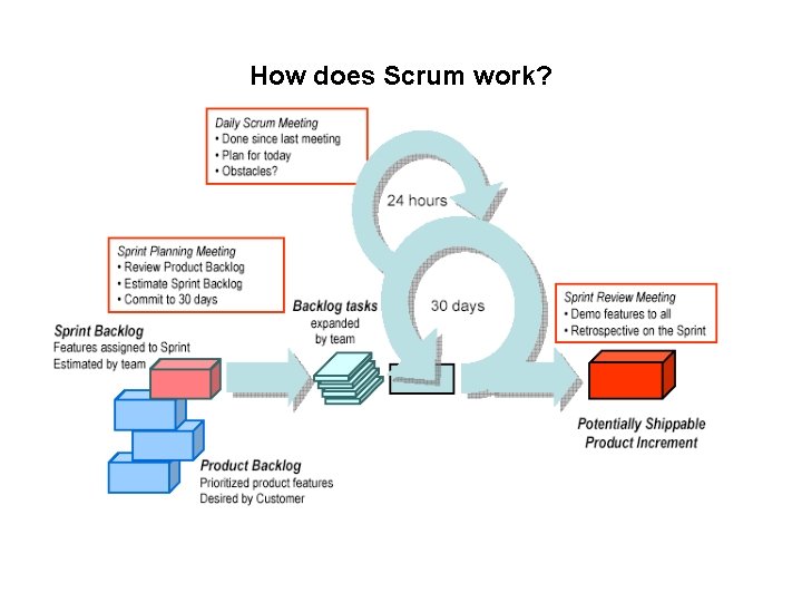 How does Scrum work? 