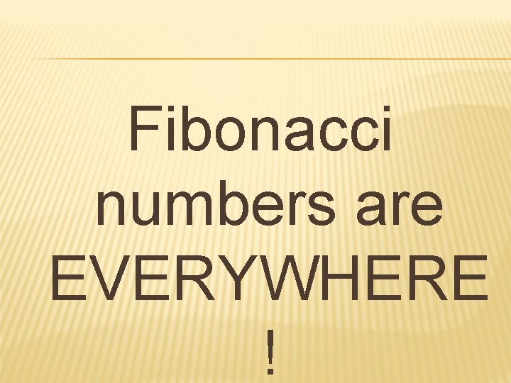 Fibonacci numbers are EVERYWHERE ! 