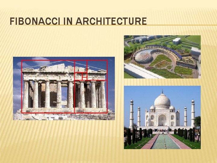 FIBONACCI IN ARCHITECTURE 