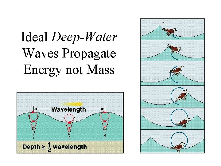 Ideal Deep-Water Waves Propagate Energy not Mass 