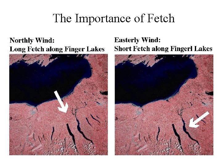 The Importance of Fetch 