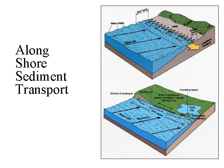 Along Shore Sediment Transport 