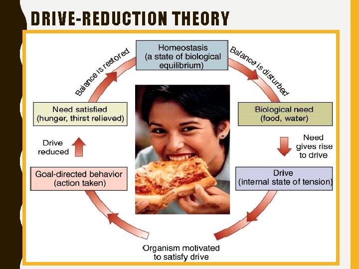 DRIVE-REDUCTION THEORY 