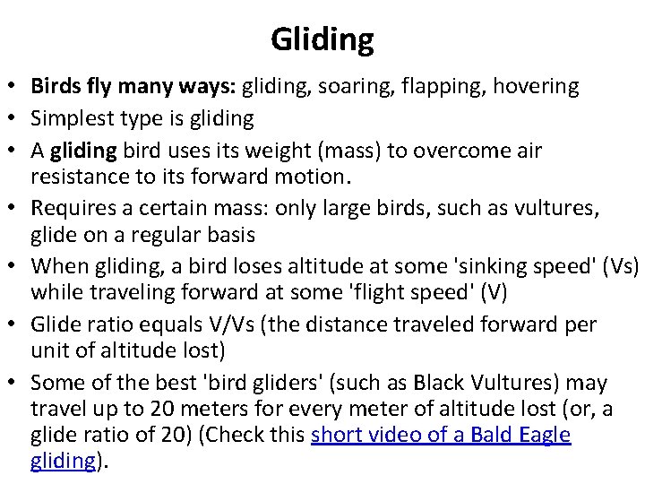 Gliding • Birds fly many ways: gliding, soaring, flapping, hovering • Simplest type is