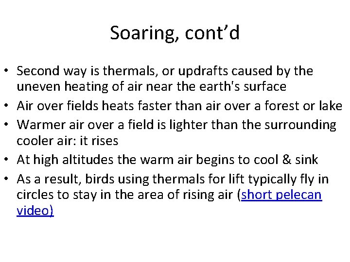 Soaring, cont’d • Second way is thermals, or updrafts caused by the uneven heating