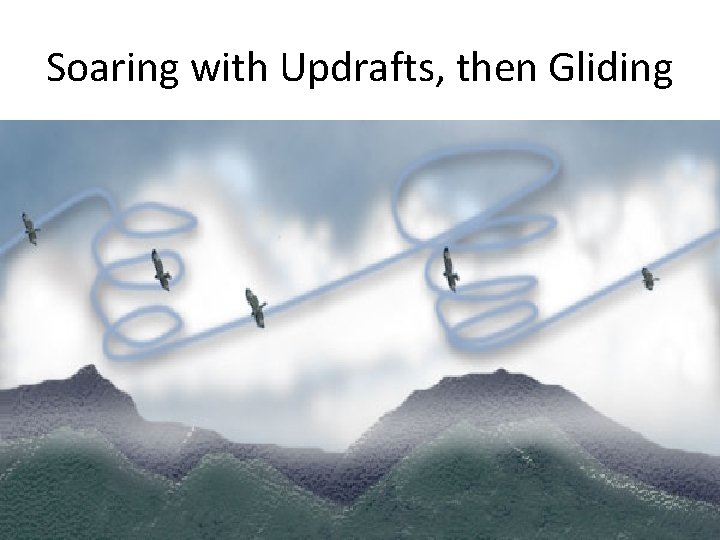 Soaring with Updrafts, then Gliding 