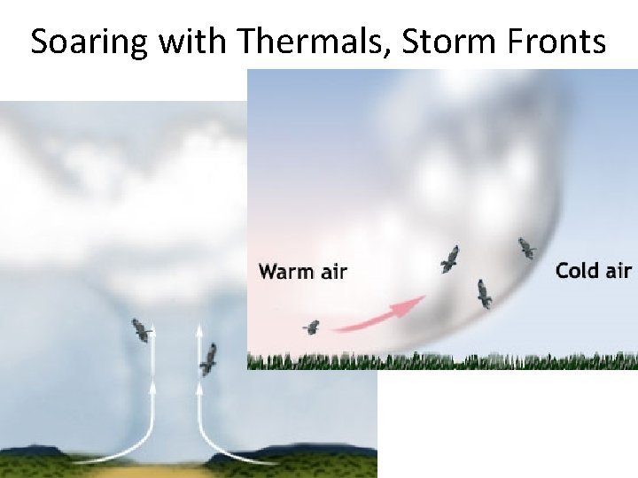 Soaring with Thermals, Storm Fronts 