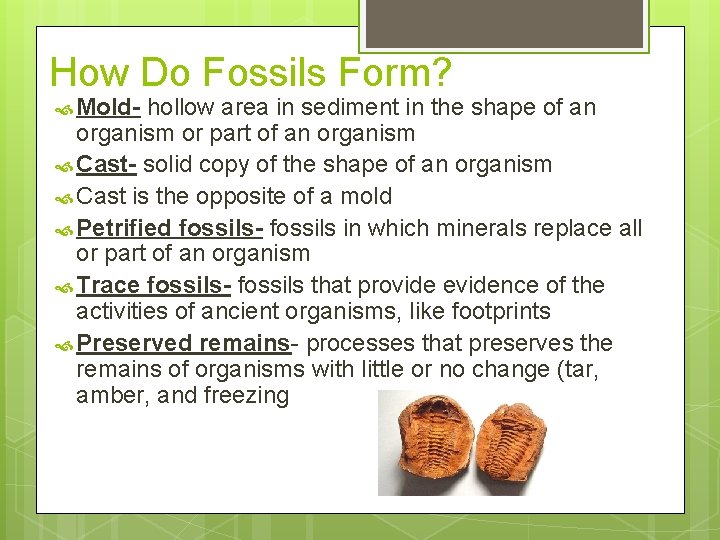 How Do Fossils Form? Mold- hollow area in sediment in the shape of an