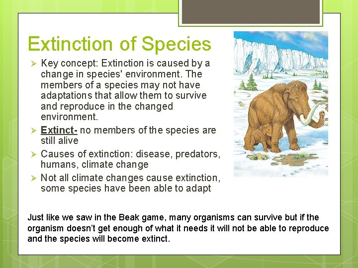 Extinction of Species Ø Ø Key concept: Extinction is caused by a change in