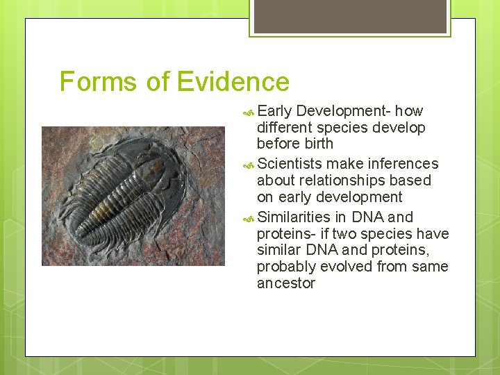 Forms of Evidence Early Development- how different species develop before birth Scientists make inferences
