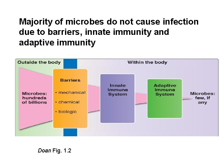 Majority of microbes do not cause infection due to barriers, innate immunity and adaptive