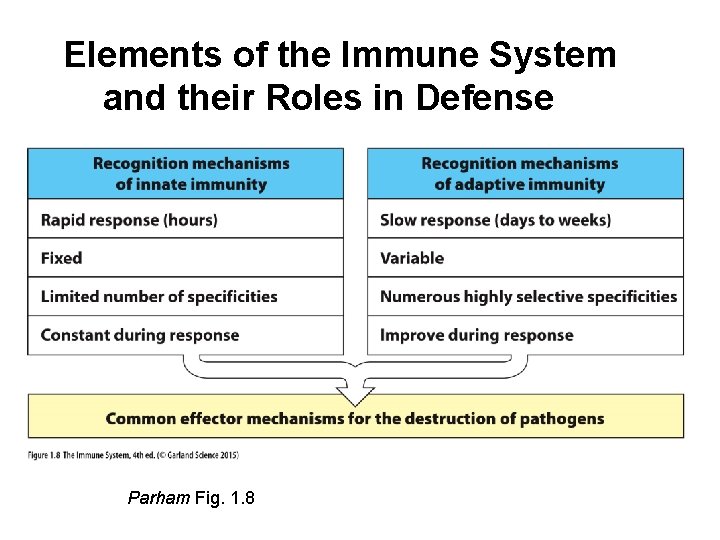 Elements of the Immune System and their Roles in Defense Parham Fig. 1. 8