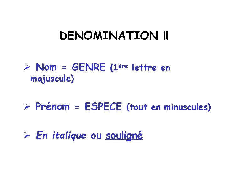 DENOMINATION !! Ø Nom = GENRE (1ère lettre en majuscule) Ø Prénom = ESPECE