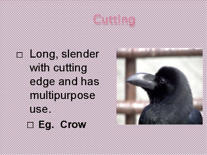 Cutting � Long, slender with cutting edge and has multipurpose use. � Eg. Crow