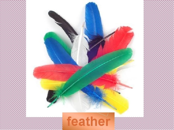 feather 