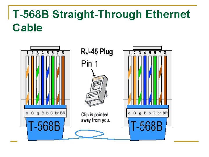 T-568 B Straight-Through Ethernet Cable 